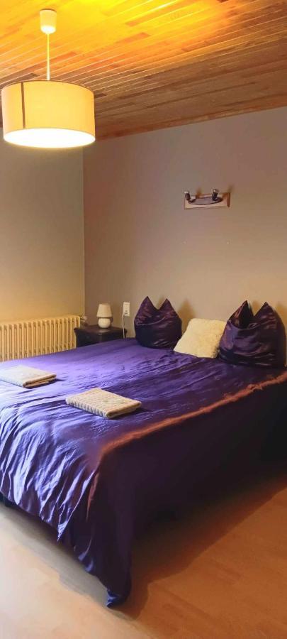 Abondance Le Retro Bed & Breakfast エクステリア 写真